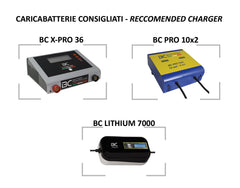 BCLT100 | Lithium-LiFePO4-Batterie, 12,4 kg, 12 V, 100 Ah, "Deep Cycle" für Wohnmobile